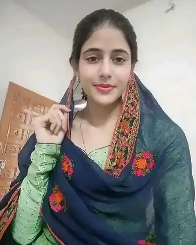 Call Girl Visnagar