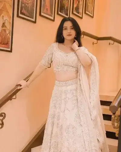 Escort Service In Visnagar